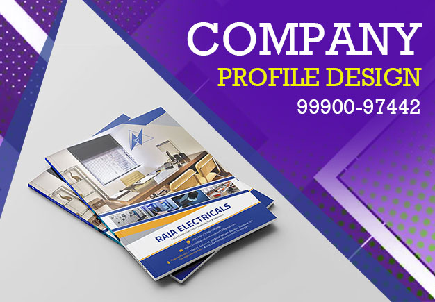 Company Profile Designing Raja Electricals, Delhi